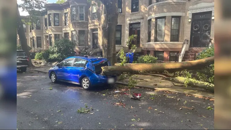 Story image: Downed tree damages car and porch in Bay Ridge