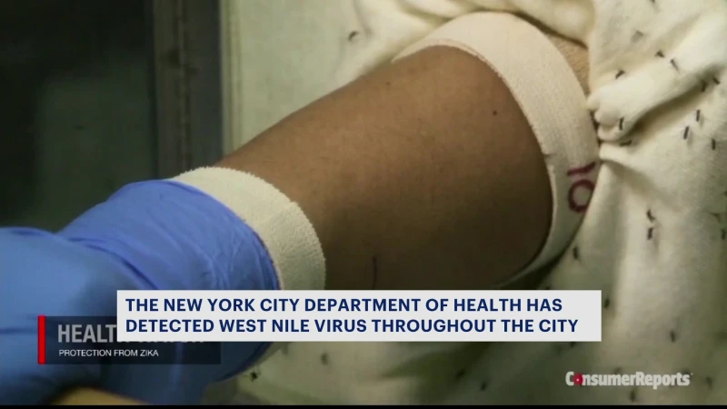 Story image: NYC Health Department says West Nile virus has been detected in all five boroughs 