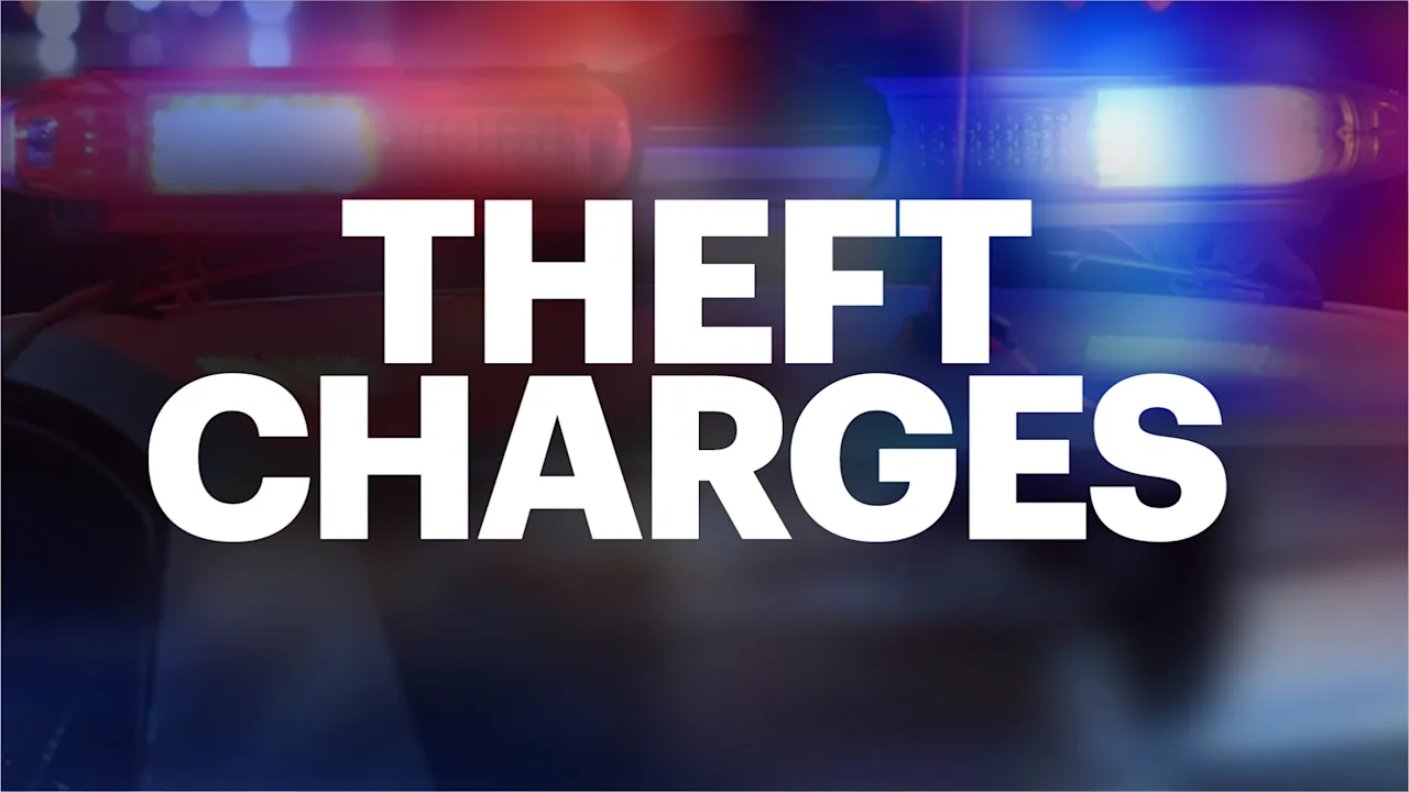 theft charges