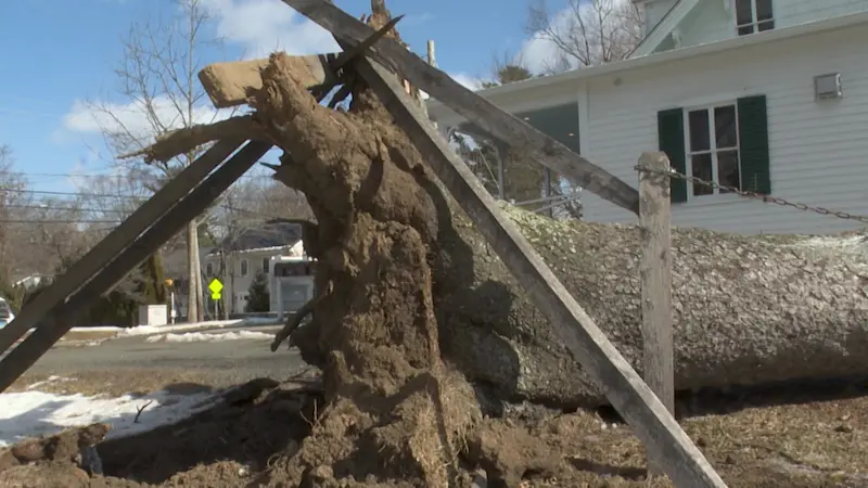 Story image: Wind leads to massive amounts of power outages across Connecticut