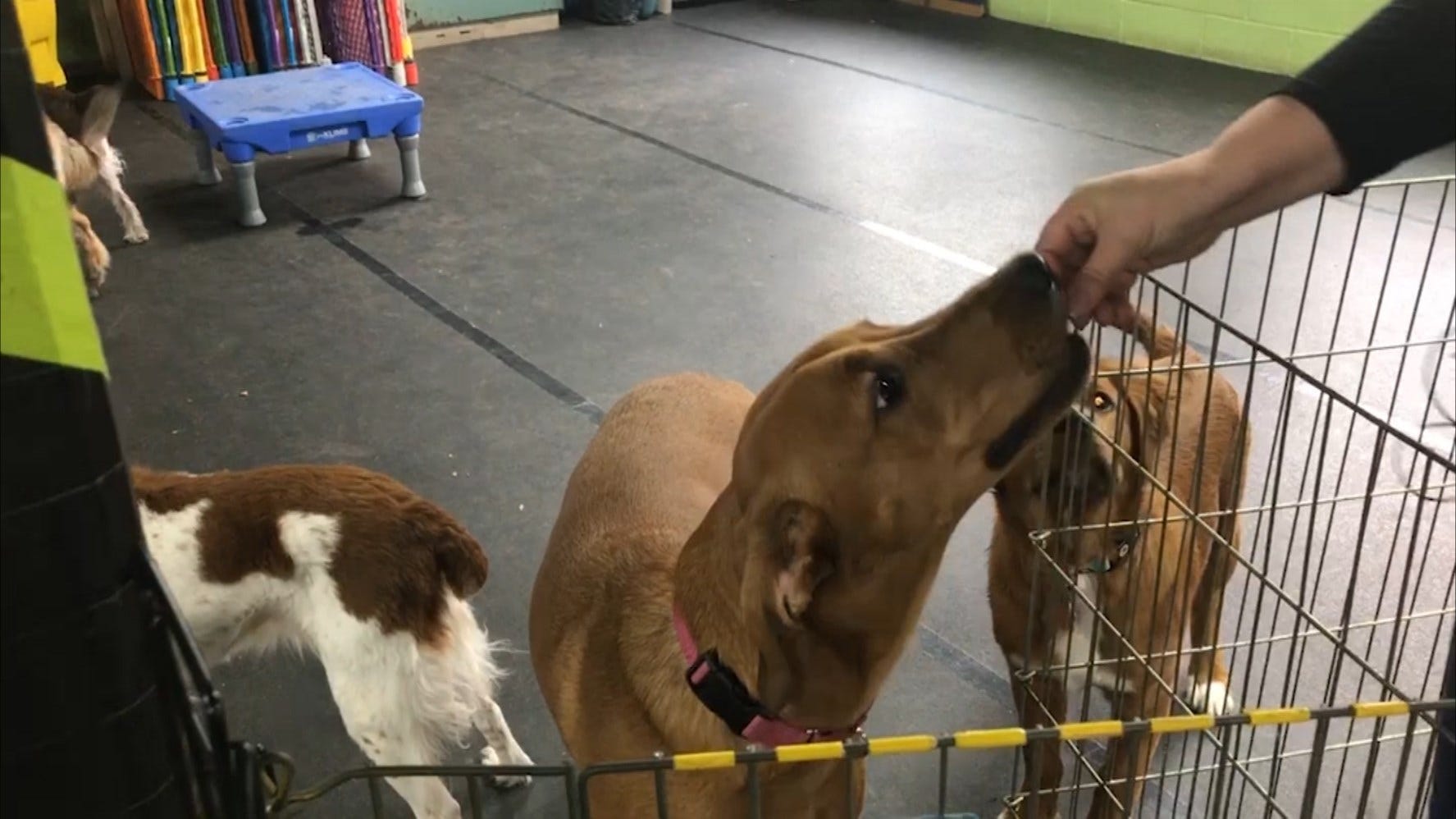 Article 50585 Thumbnail