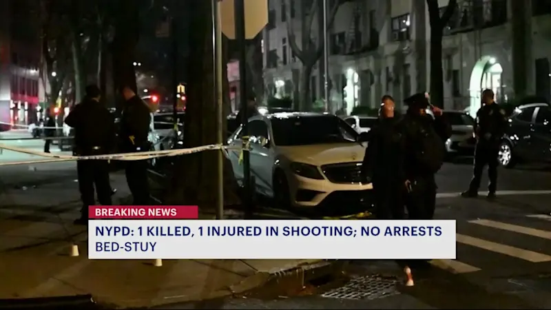 Story image: NYPD: Man dead, 19-year-old recovering following double shooting in Bed-Stuy