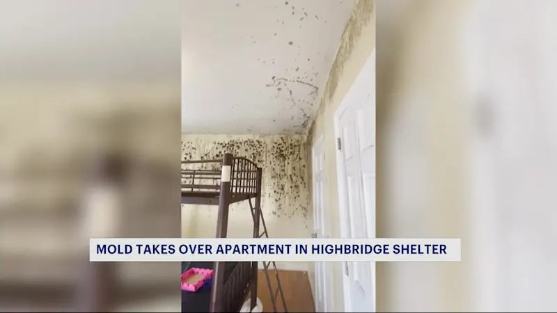 Story image: Highbridge shelter resident's tag to News 12 on Facebook leads to apartment fixes