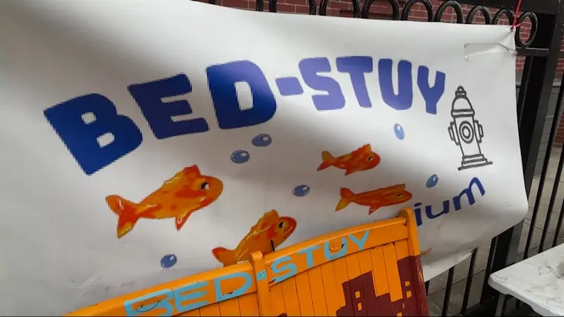 Story image: Bed-Stuy Aquarium could become permanent