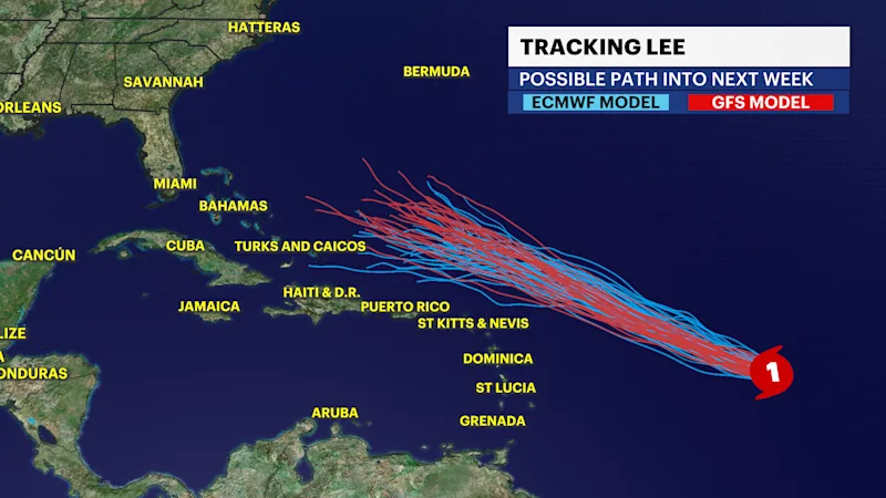 TF_Spaghetti_Lee2023.png