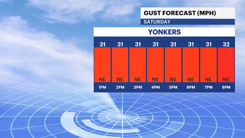 FB_Gust_ECMWF.png