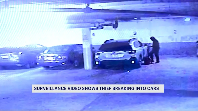 Story image: New surveillance video captures Pelham Parkway garage thief in action