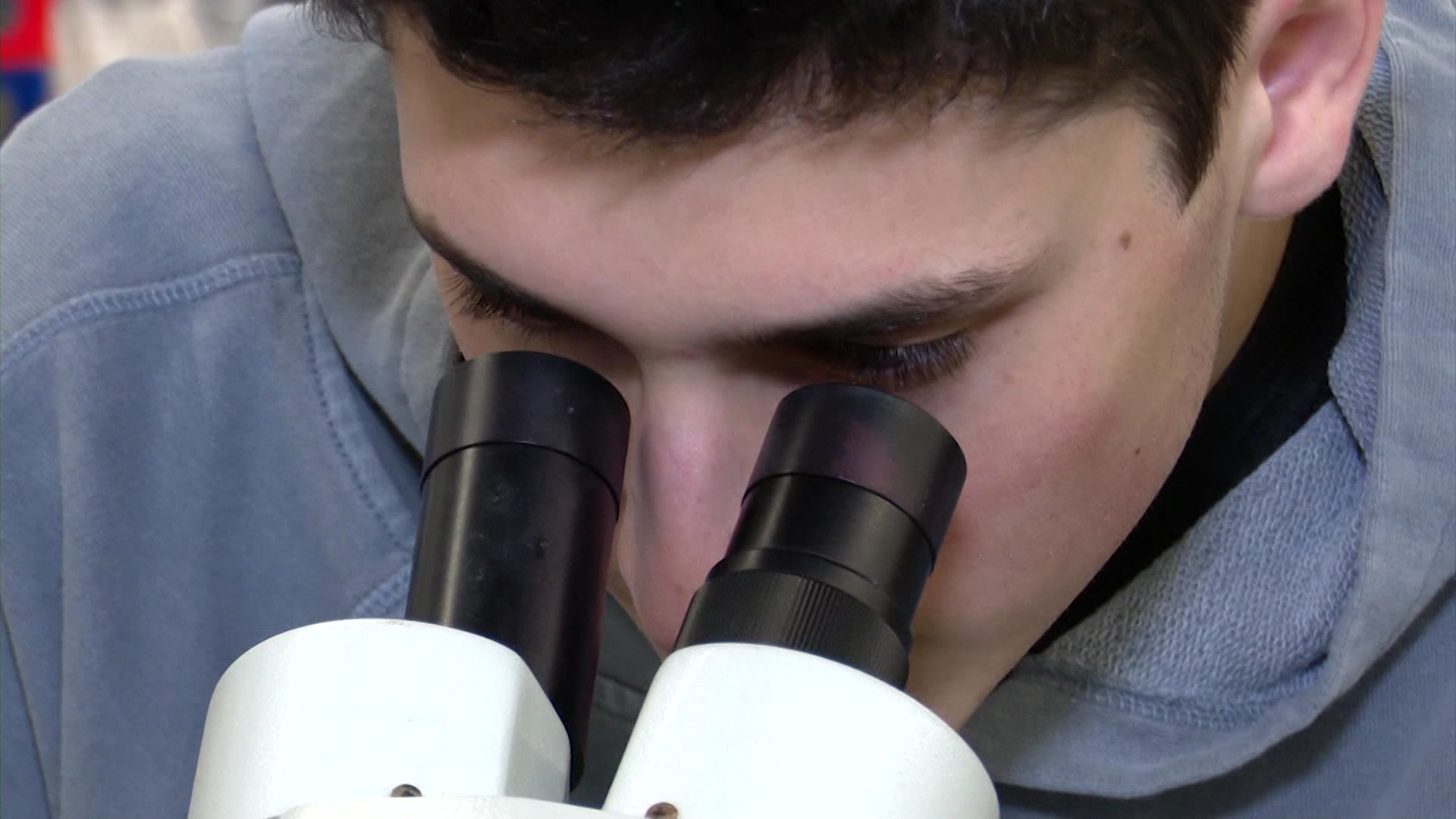 Senior at Roslyn High School named finalist in the Regeneron Science Talent Search Competition