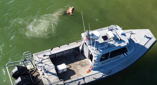 swimmer rescue