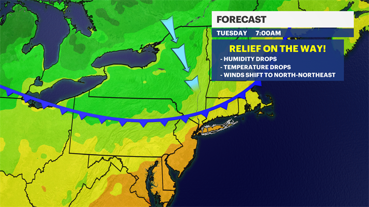 Article 12452 Thumbnail