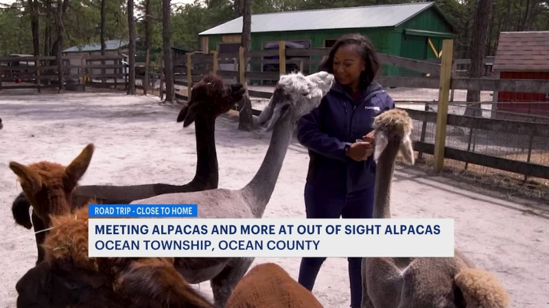 Story image: Meeting alpacas and more at Ocean Township animal park