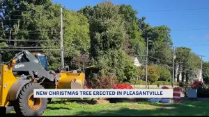 Pleasantville village workers plant new Christmas tree on 'Christmas Tree Island'