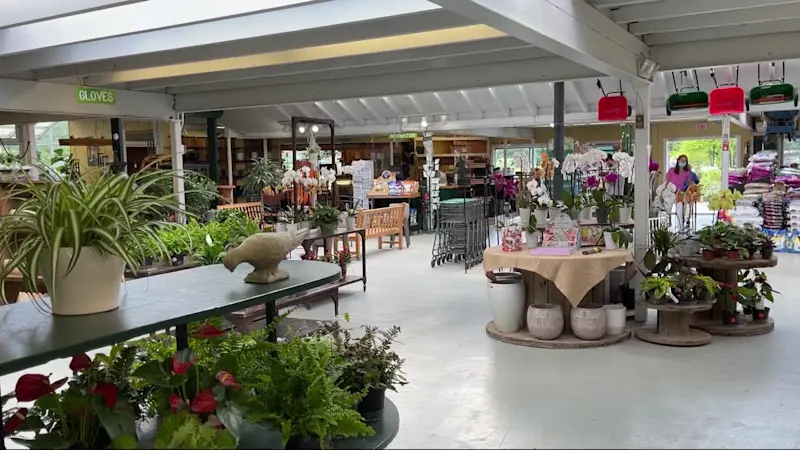 Story image: We're Open: Rosedale Nurseries