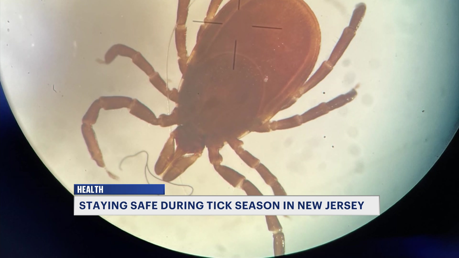 TickSeasonConcerns_2026-04-21-17-17-33_17-15-19,03