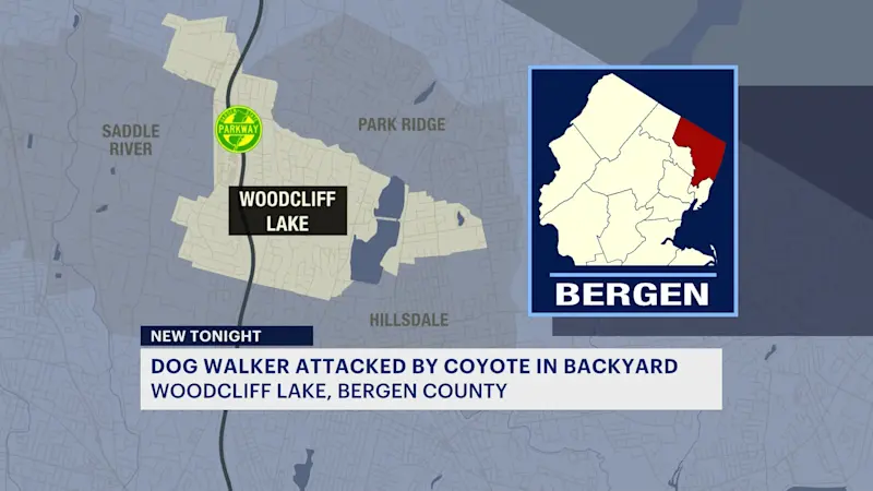 Story image: Dog walker bitten several times by coyote in Woodcliff Lake