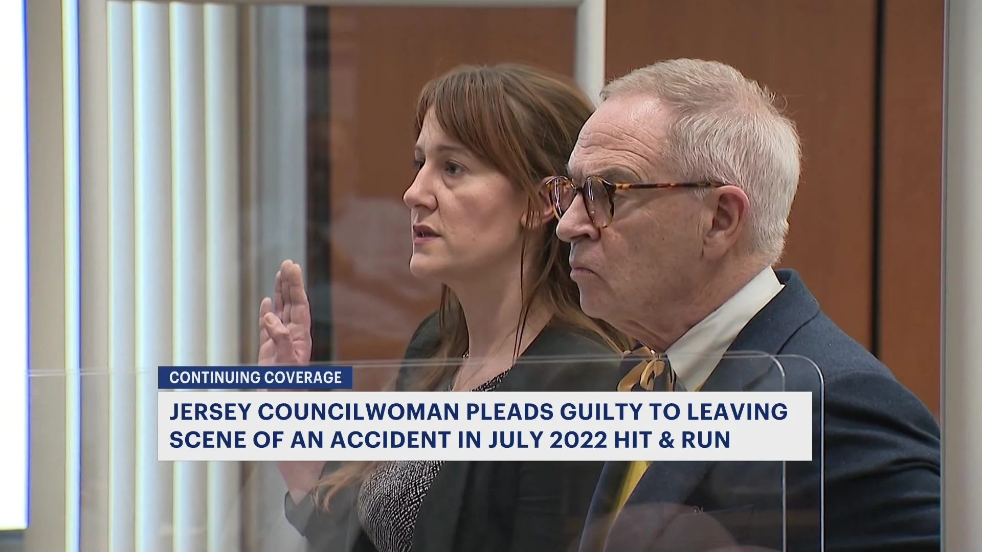 Jersey City Council Member Amy DeGise pleads guilty to July hitandrun