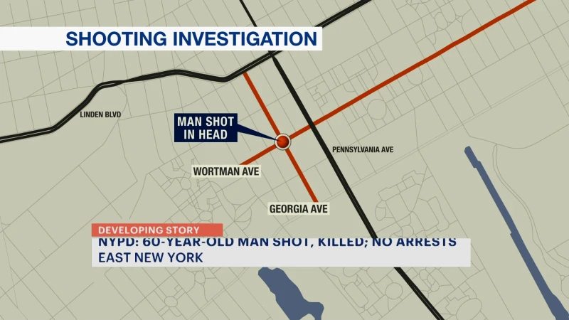 Story image: NYPD: Man fatally shot in the head in East New York; suspect at large