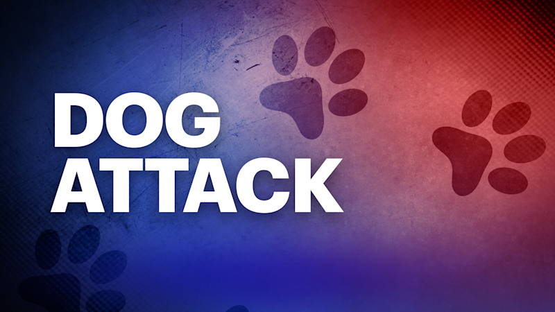 Story image: Woman charged after wrong dog may have been euthanized following attack, police say