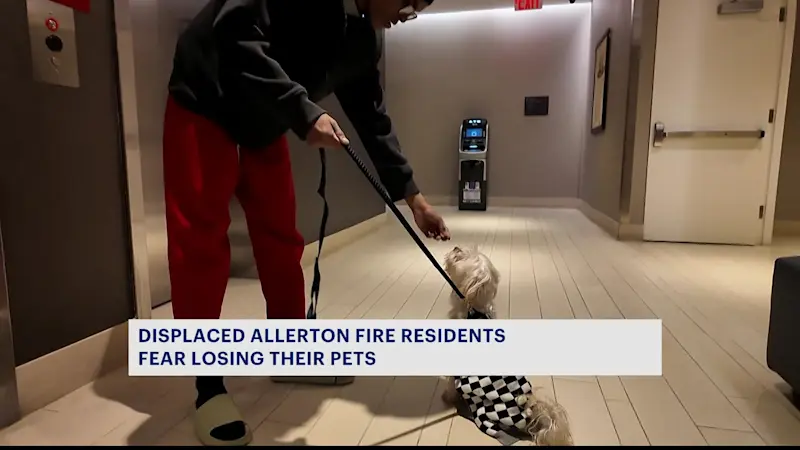 Story image: Wallace Avenue fire victims forced to leave hotels, fear losing pets