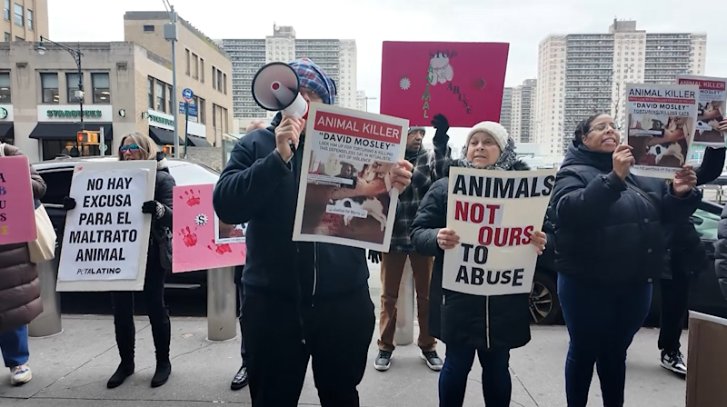 Story image: Animal advocates rally against accused cat killer outside court 