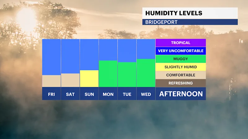 FB_Dewpoint_Daily2.png