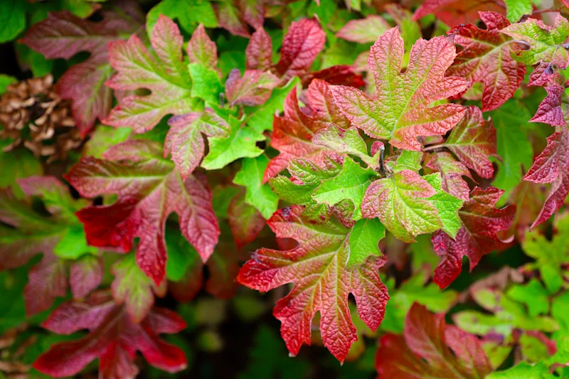 IMG_0017.JPG