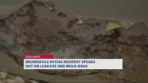 Tenant says mold and leakage issues in Howard Houses causing health concerns