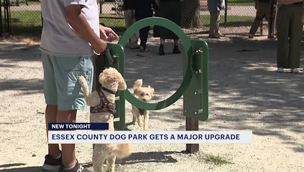 Essex County park gets major upgrade from recycled packaging