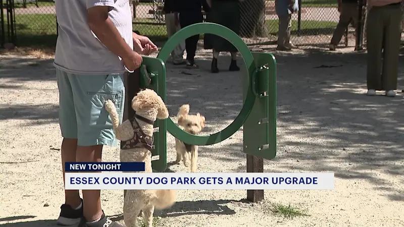 Story image: Essex County park gets major upgrade from recycled packaging