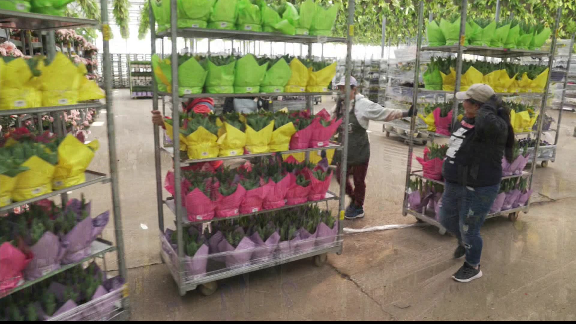 The East End Kurt Weiss Greenhouses