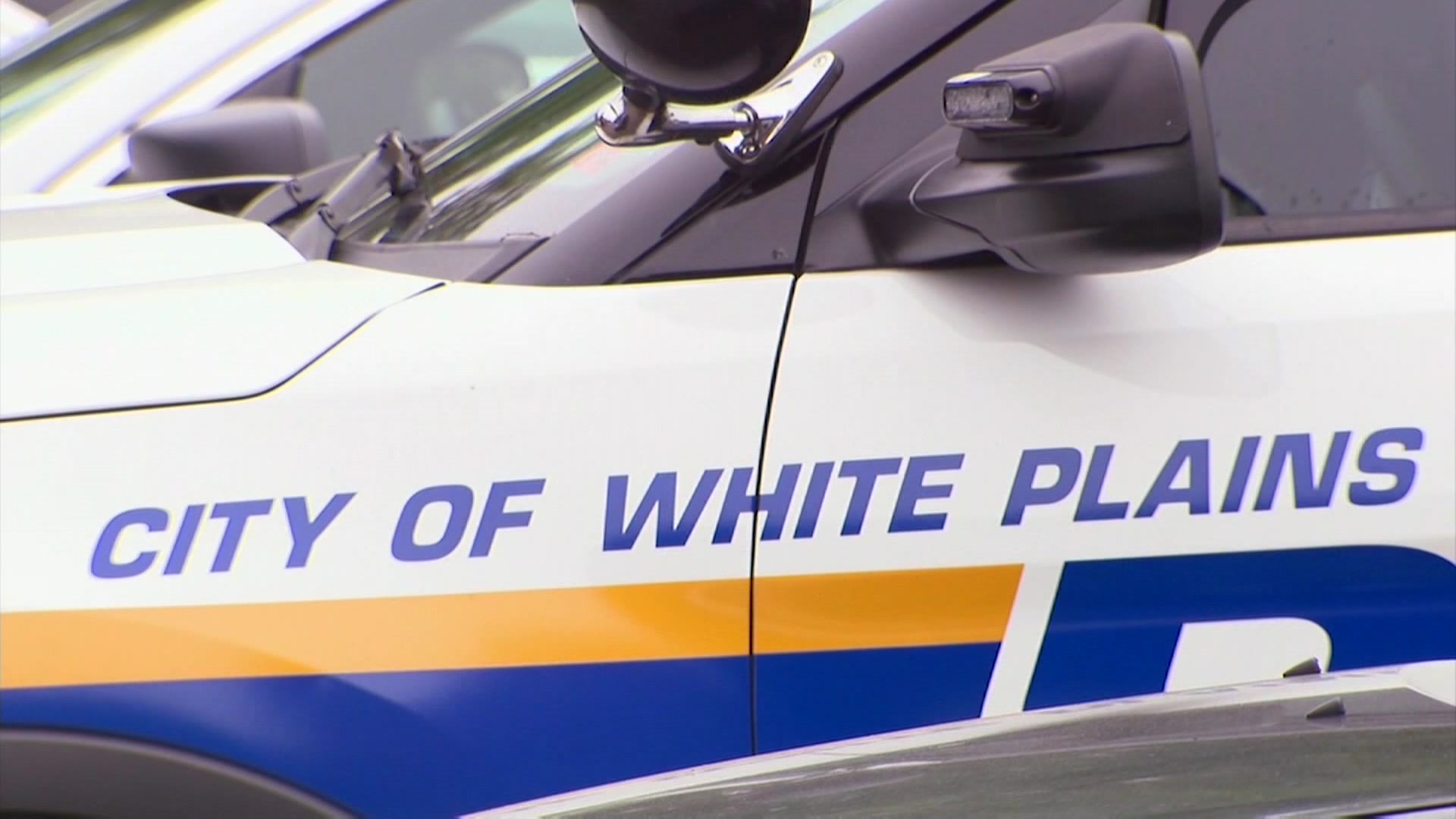 Judge awards former White Plains police officer full benefits after being permanently disabled from 2011 incident - Vimarsana News