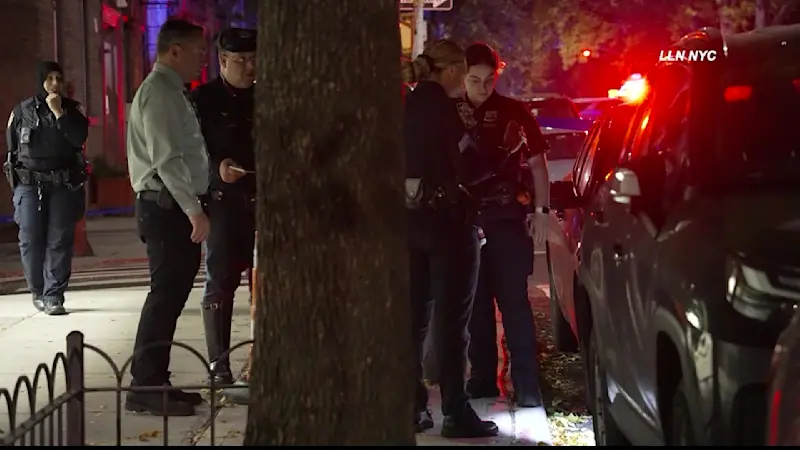 Story image: Elderly woman fatally struck by car in Sunet Park