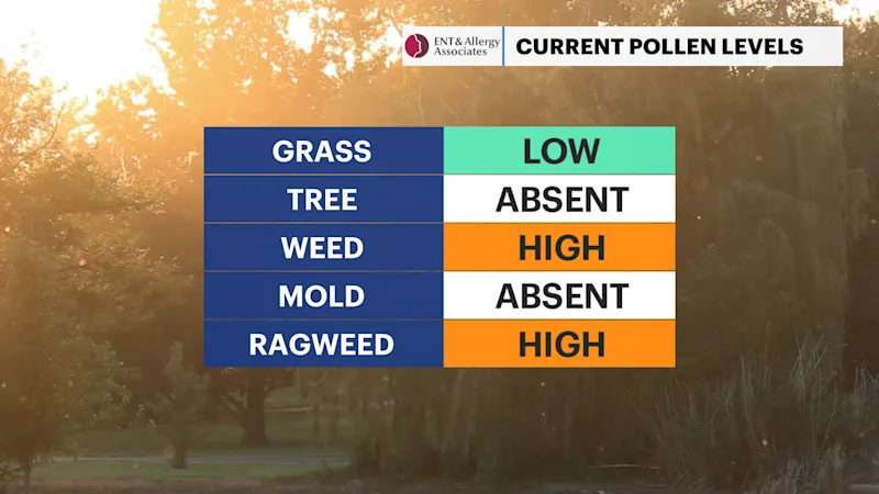 HVAG C_Pollen.png