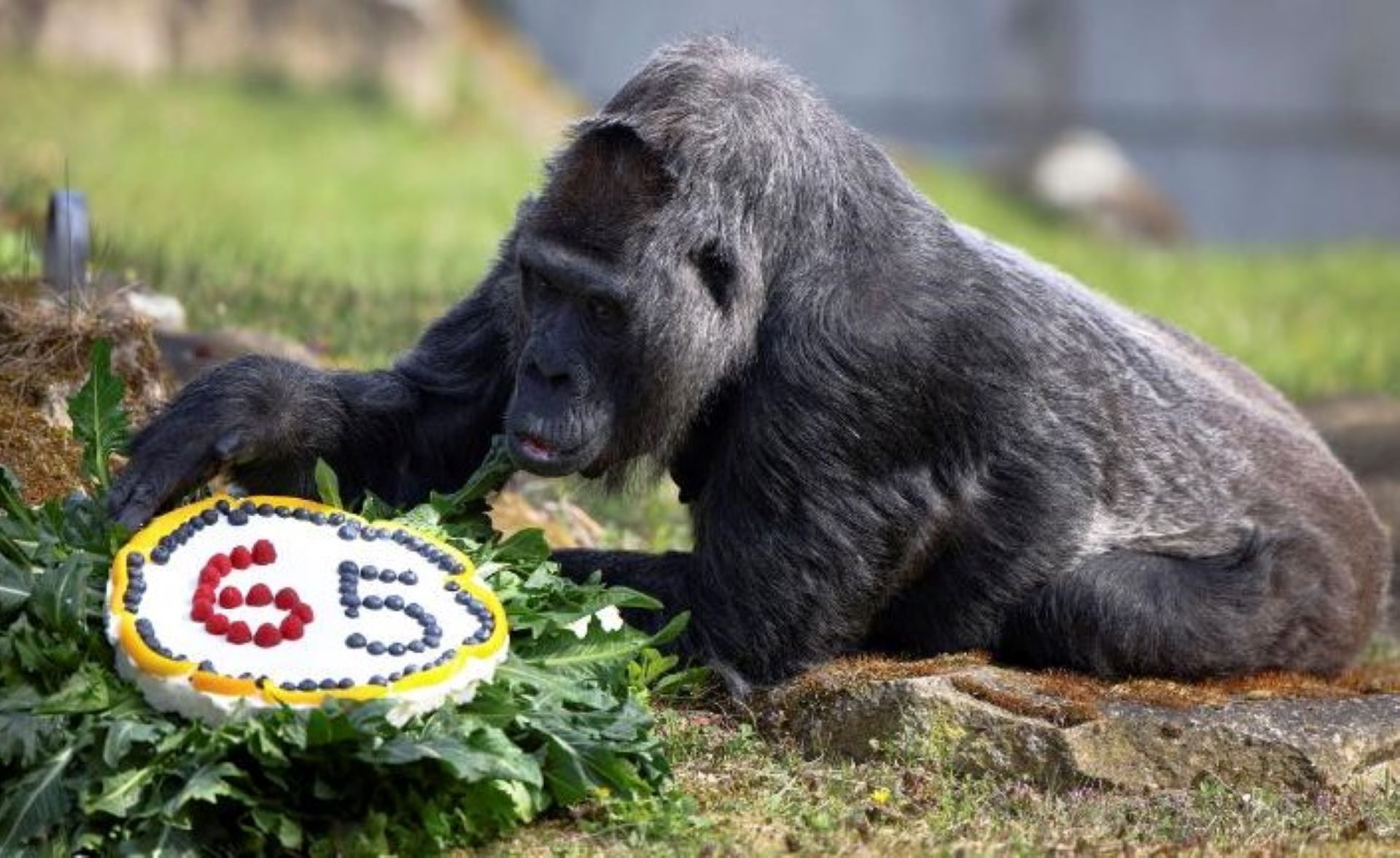 Article 291041 Hero Image