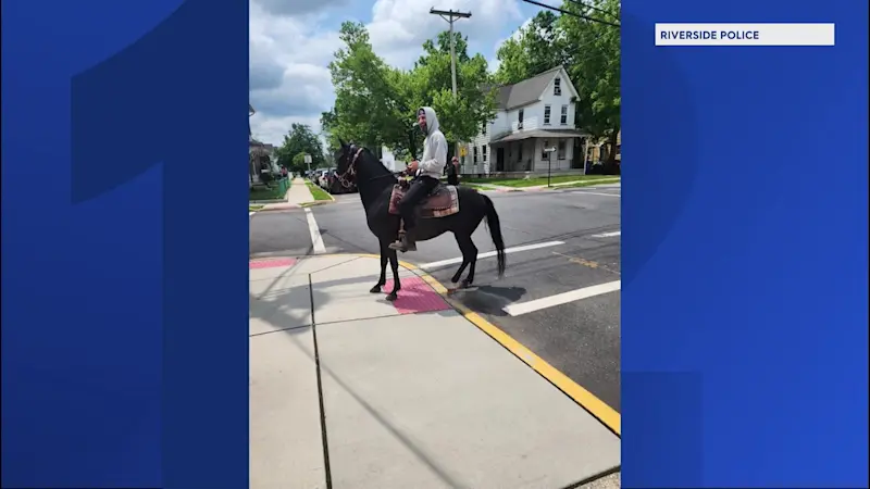 Story image: Case solved in Riverside with the help of a little 'horsepower'