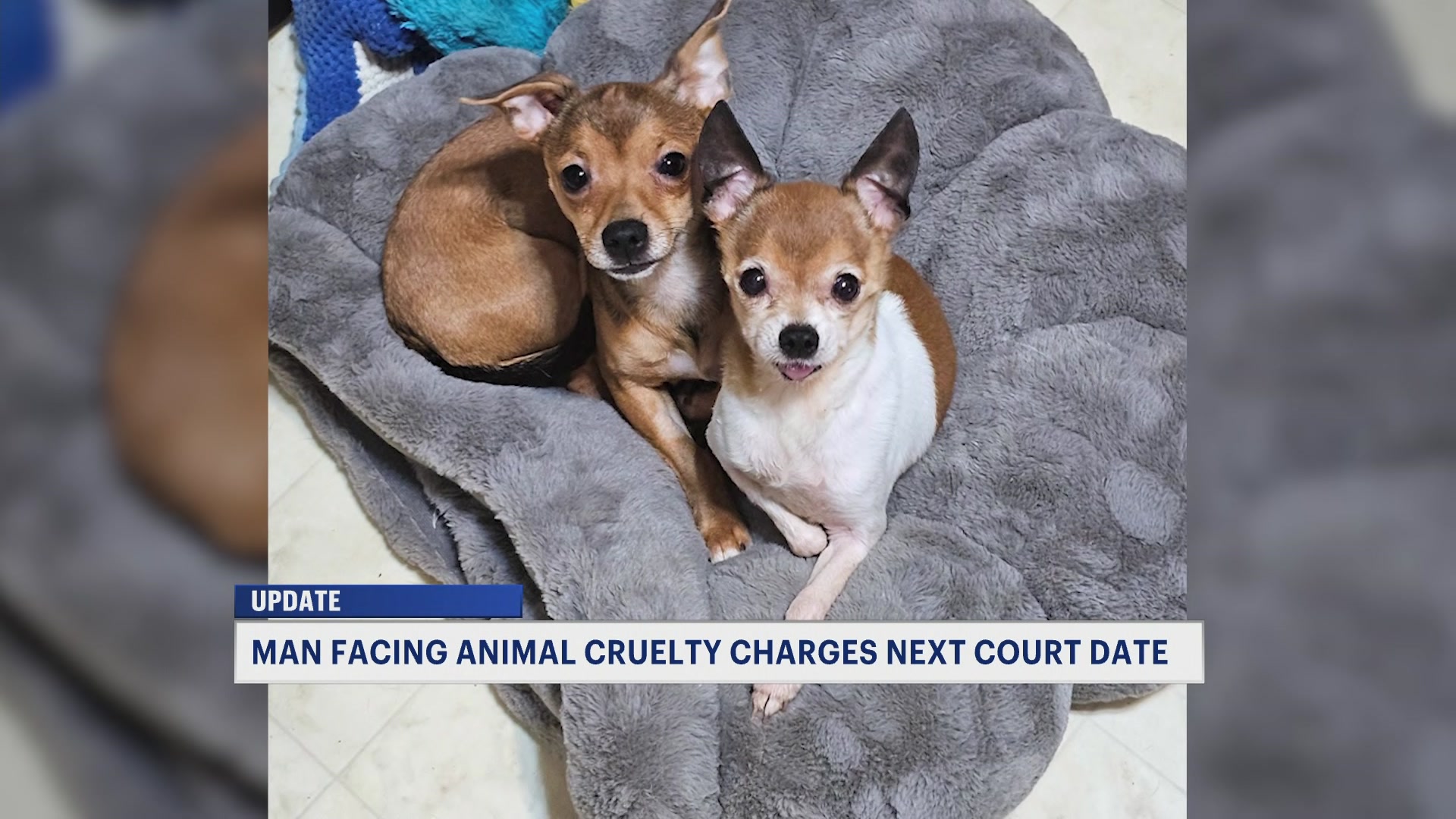 SussexDogUpdateAM_2026-04-21-09-15-14