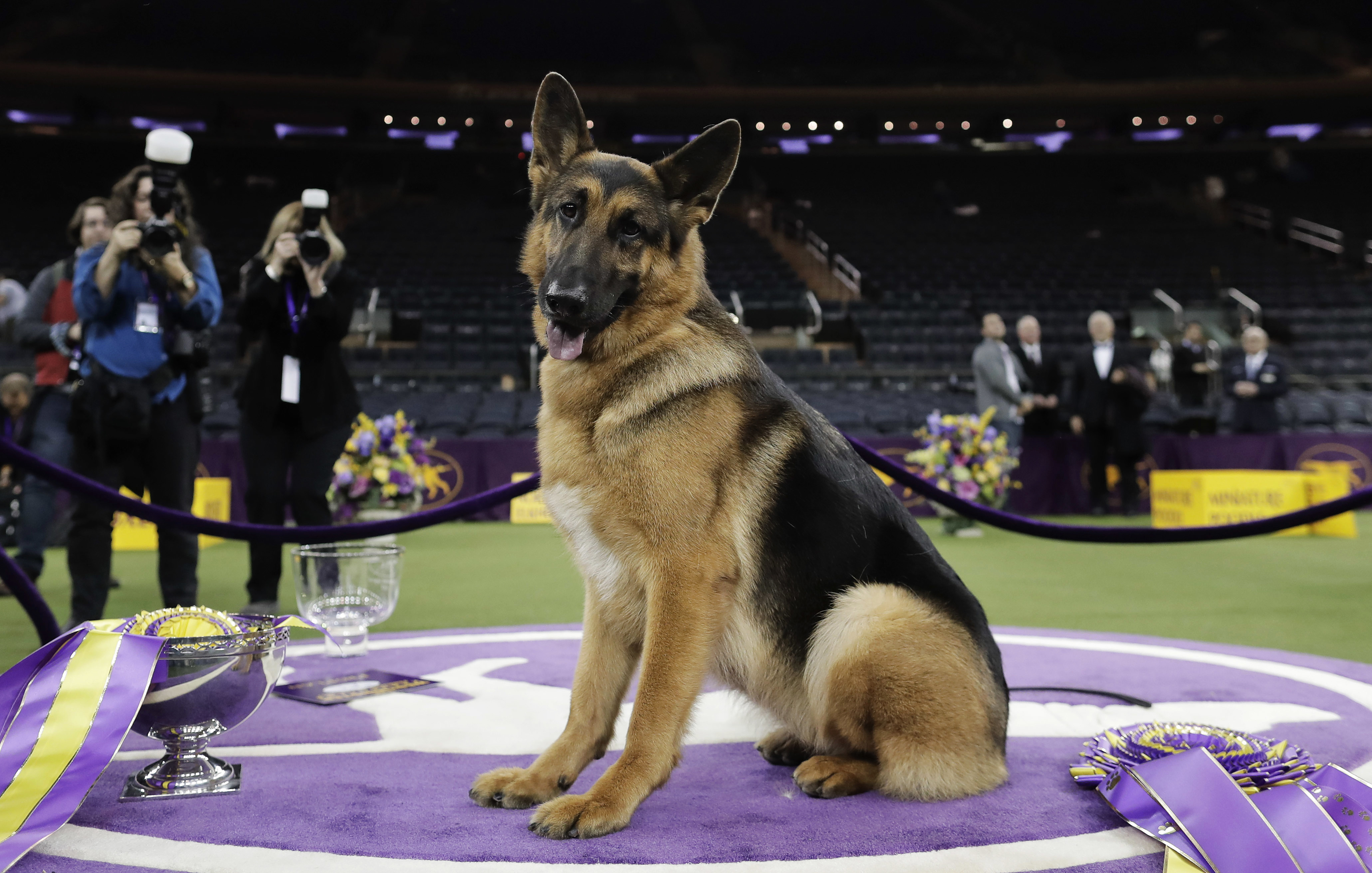 Article 296655 Hero Image