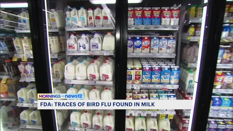 Story image: Remnants of bird flu virus found in pasteurized milk, FDA says