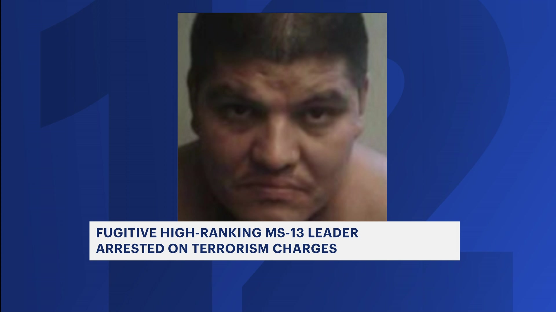 MS13 leader to face Central Islip judge on terrorism charges