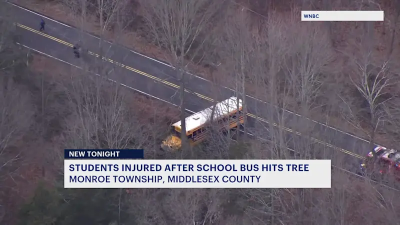 Story image: Police: Student breaks leg, others hurt when school bus crashes into tree in Monroe Township