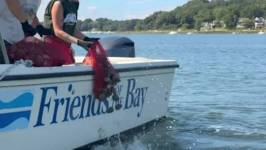 Clams MS 091826_2026-09-18-17-10-49