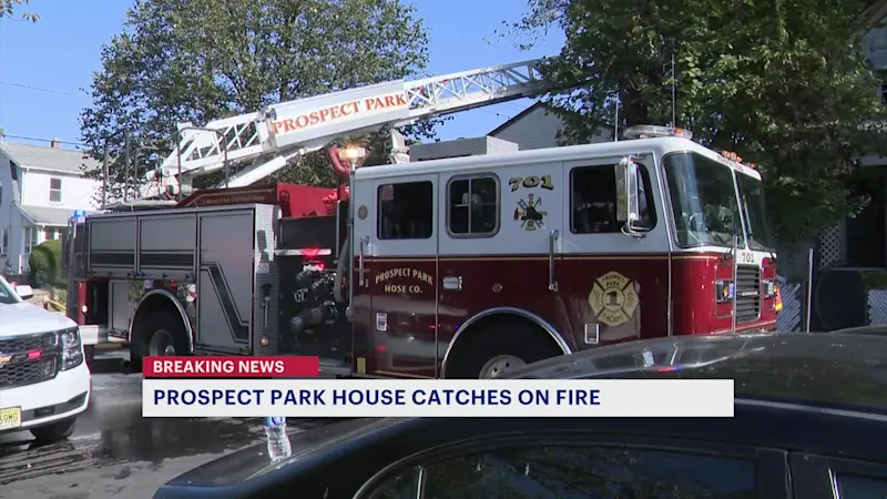 Story image: Officials: 9 cats killed, 20 other cats & 4 dogs rescued in Prospect Park fire