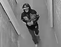 storage larceny