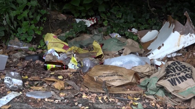 Story image: Baychester residents say trash covers their neighborhood