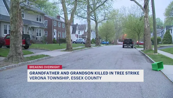Police: Grandfather, 6-month-old grandson killed by fallen tree in Verona