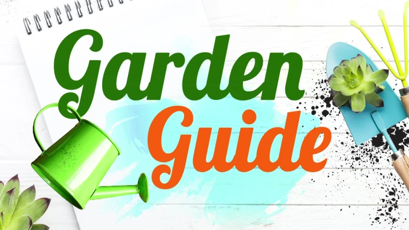 Story image: Garden Guide: Weekly Q&A with Alex Calamia