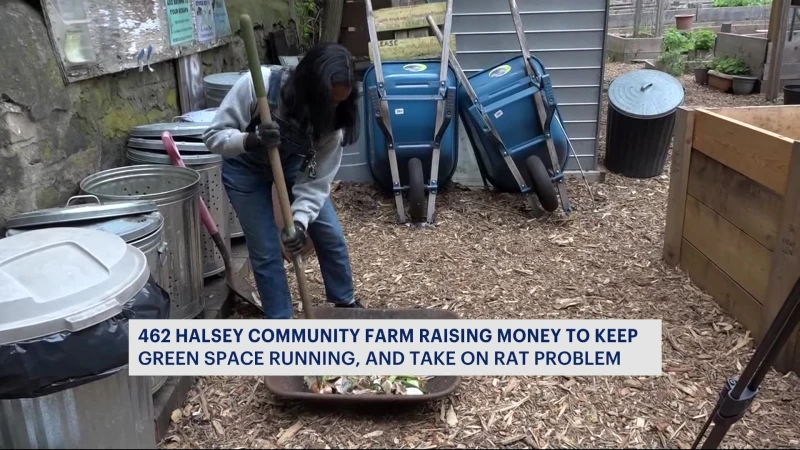 Story image: Community-run green space needs help to keep produce growing