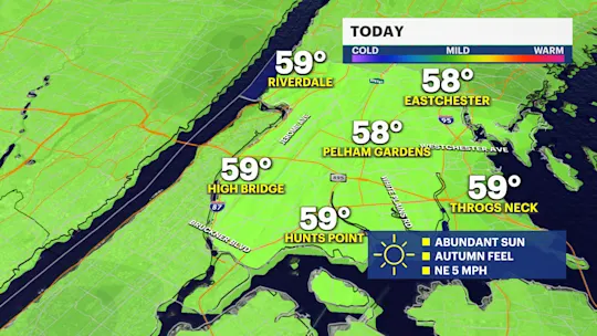 BRONX TODAY