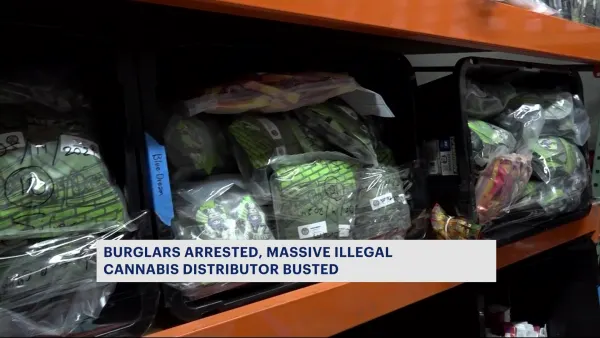 Police: Millions of dollars’ worth of marijuana found in downtown Brooklyn warehouse  