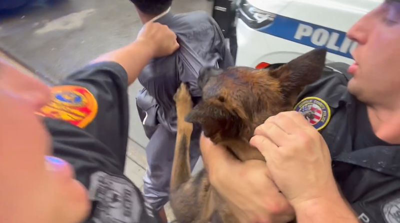Story image: Exclusive: Suffolk police K-9 attacks bystander at funeral for slain NYPD detective